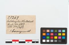 Etikett zu Bronzemehrkopfnadel (NHMW-PRAE-025267)